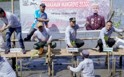 Bersama Pelajar dan Masyarakat, Gubernur Andi Sudirman Tanam 35.300 Batang Mangrove