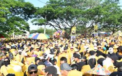 Jalan Sehat Golkar Lutra Dipadati 42 Ribu Peserta