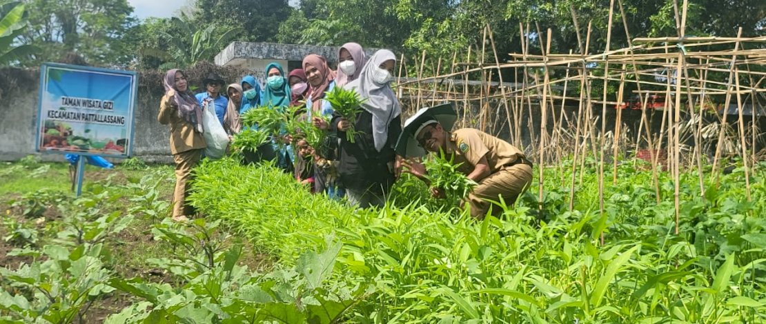 Taman wisata gizi Kecamatan Pattalassang, Kabupaten Takar, berkolaborasi dengan Institut Teknologi Pertanian (ITP), telah melakukan panen perdana kemarin, Senin, 17 Oktober 2022. 