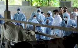 Mentan SYL Pastikan PMK Terus Menurun