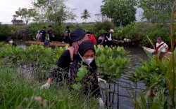 Peduli Lingkungan, GenBI Sulsel Tanam Mangrove dan Bersihkan Sungai di Maros