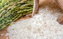 Kabar Gembira Untuk Petani, Bulog Siap Beli Beras Berapapun Harganya