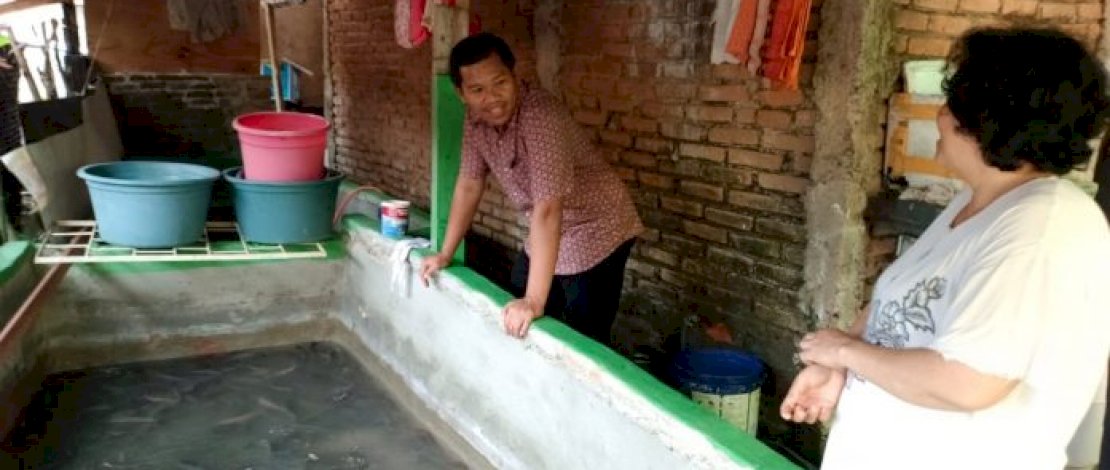 Camat Biringkanaya Benyamin B Turupadang Tinjau Peternak Ikan Lele di Longwis Sudiang