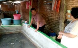Camat Biringkanaya Benyamin B Turupadang Tinjau Peternak Ikan Lele di Longwis Sudiang