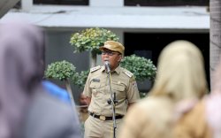 Danny Pomanto Bersama DLH Waspadai Pohon Tumbang: Rutin Pemeliharaan Dahan