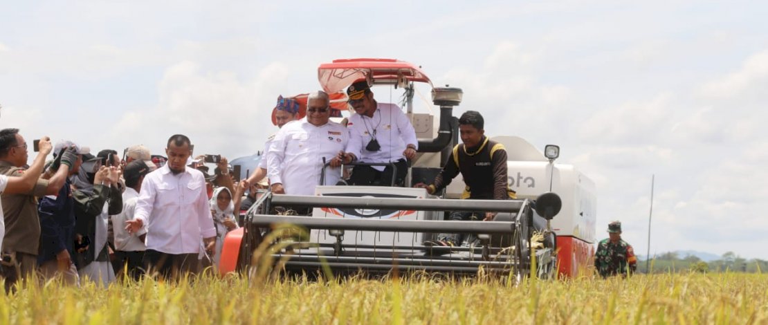 Menteri Pertanian Syahrul Yasin Limpo menggelar panen raya padi di Desa Gunung Jaya, Kecamatan Dangia, Kabupaten Kolaka Timur, Sulawesi Tenggara.