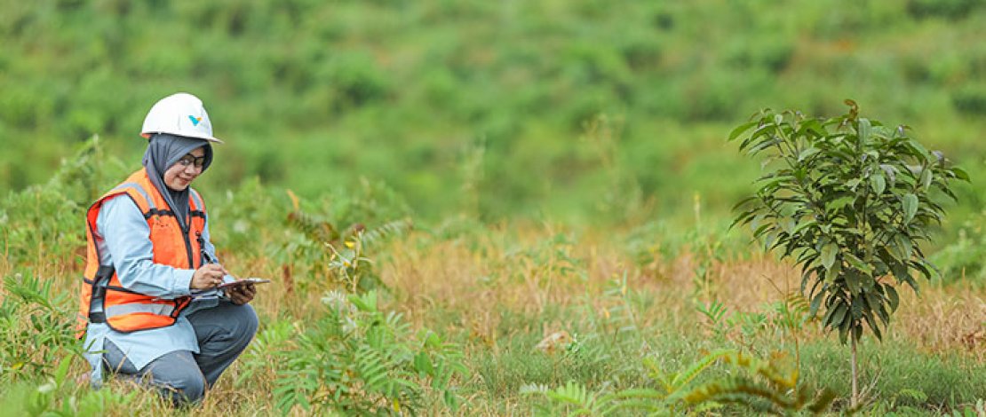 Area bekas tambang PT Vale Indonesia di Sorowako, Lutim.
