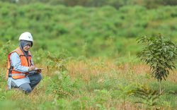 Bandingkan dengan Freeport, Menteri ESDM Sebut Pemerintah Tak Mudah Ambilalih Saham PT Vale