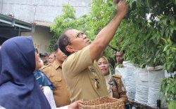 Ojol Day, Danny Naik Gojek Bersama Camat  M Ari Ke Longwis Di Mamajang