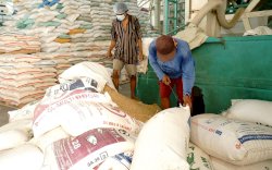 Stok Beras Hingga Akhir Tahun 2022 Melimpah, Siapa Bilang Menipis?