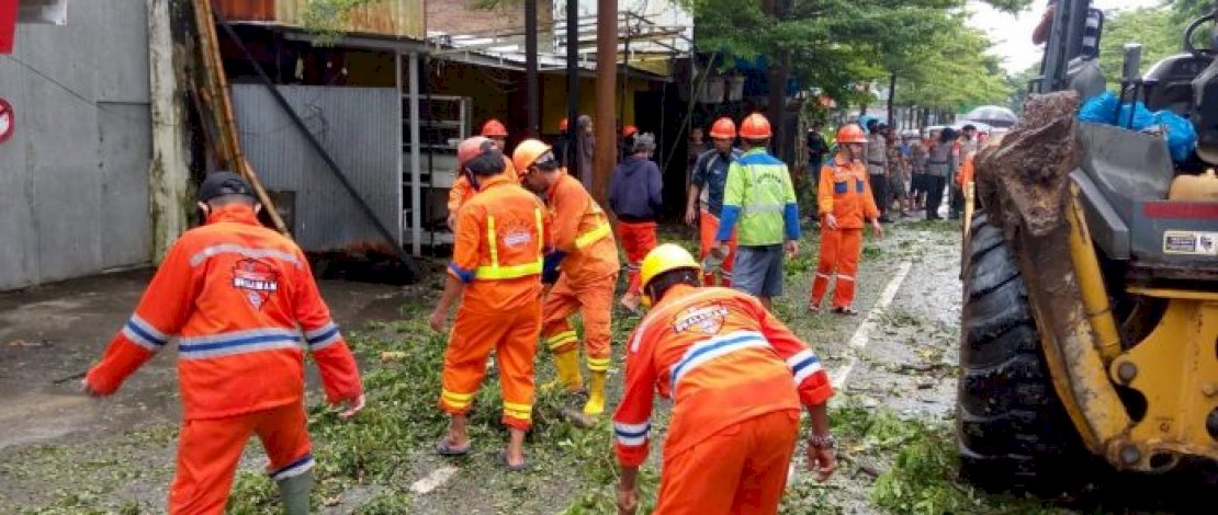 Gerak Cepat, Camat Mamajang Terjunkan Tim Satgas Evakuasi Pohon Tumbang yang Ganggu Arus Lalu Lintas Gerak Cepat, Camat Mamajang Terjunkan Tim Satgas Evakuasi Pohon Tumbang yang Ganggu Arus Lalu Lintas