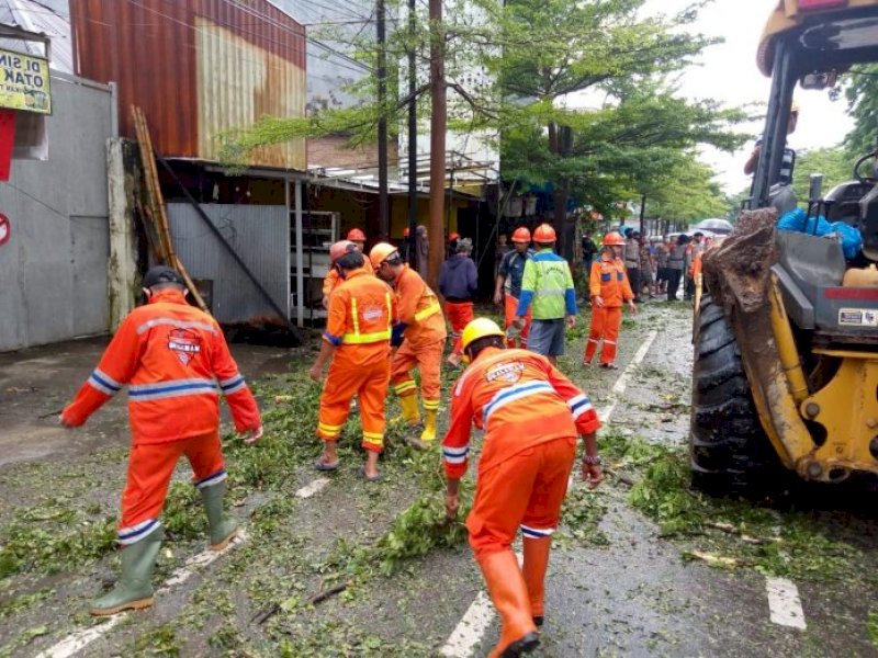 Gerak Cepat, Camat Mamajang Terjunkan Tim Satgas Evakuasi Pohon Tumbang yang Ganggu Arus Lalu Lintas