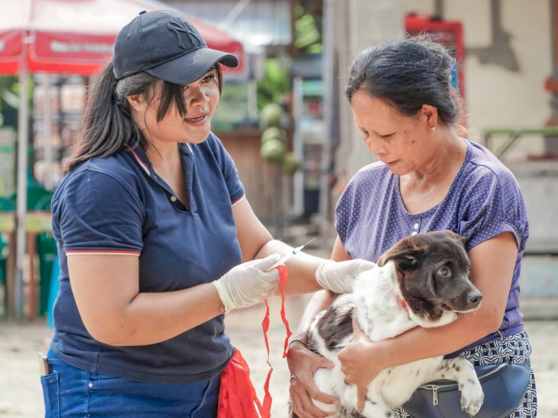Bali Kendalikan PMK dan Rabies, Siap Sukseskan KTT G20 Mendatang