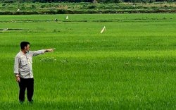Kebijakan Pertanian dan Pembangunan Food Estate Bikin Indonesia Kebal Krisis