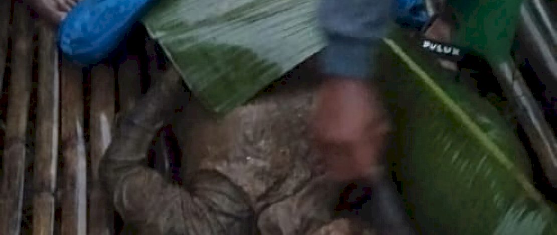 Longsor di Borong Sapiria Malino Telan 1 Korban Jiwa, 1 Belum Ditemukan Longsor di Borong Sapiria Malino Telan 1 Korban Jiwa, 1 Belum Ditemukan