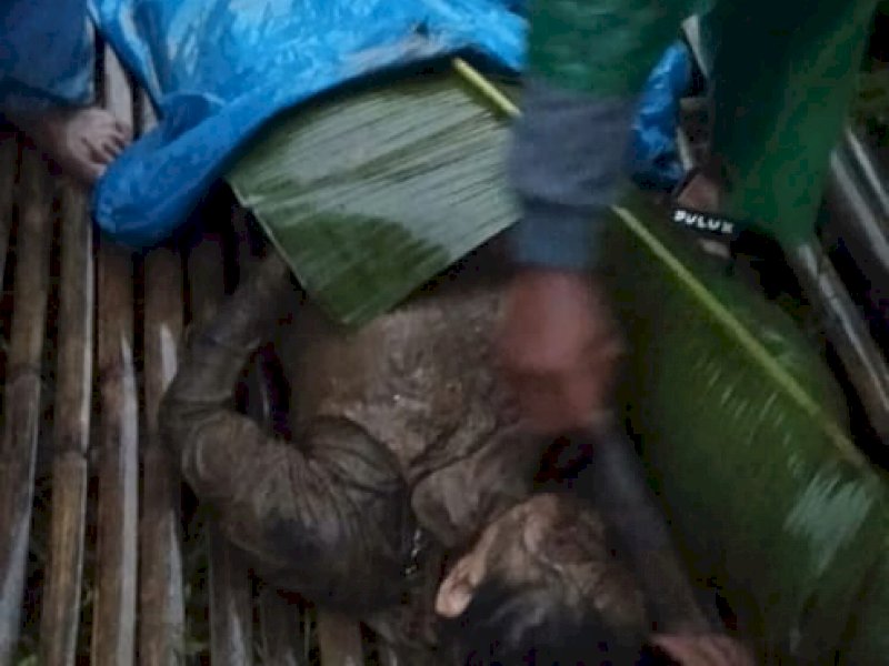 Longsor di Borong Sapiria Malino Telan 1 Korban Jiwa, 1 Belum Ditemukan 
