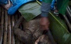 Longsor di Borong Sapiria Malino Telan 1 Korban Jiwa, 1 Belum Ditemukan 