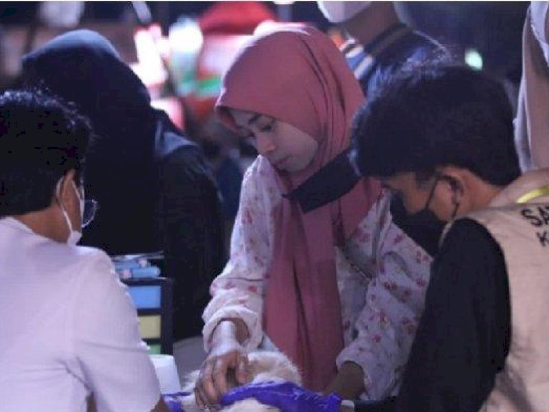 Layanan Vaksin Hewan Gratis dari DPP Diserbu Pecinta Kucing di F8 Makassar