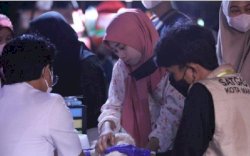 Layanan Vaksin Hewan Gratis dari DPP Diserbu Pecinta Kucing di F8 Makassar