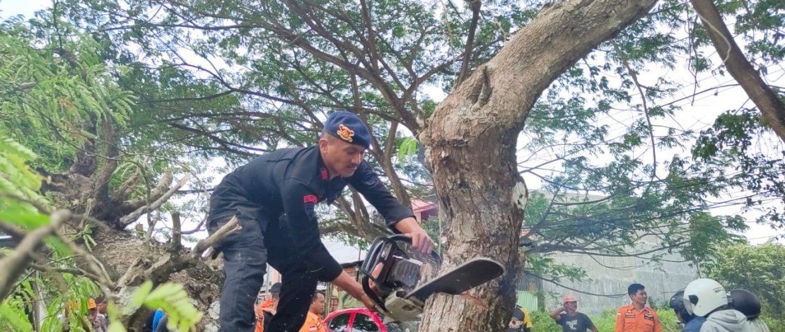 Gercep, Tim SAR Brimob Bone Terjun Evakuasi Pohon Tumbang
