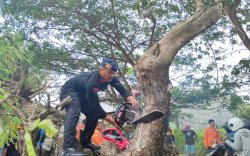 Gercep, Tim SAR Brimob Bone Terjun Evakuasi Pohon Tumbang