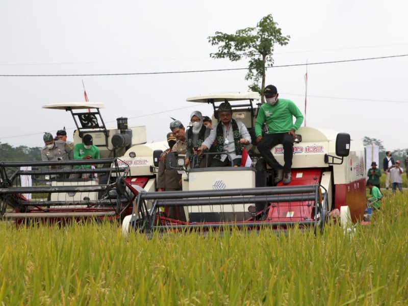 Antisipasi Perubahan Iklim, Kementan Dorong Budidaya Padi Rendah Emisi  