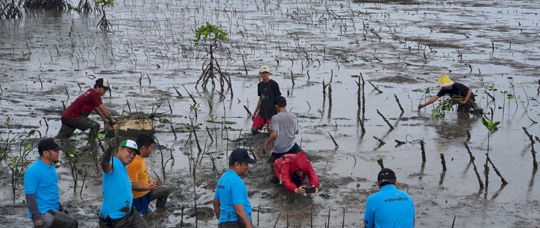 PT KB Finansia Multi Finance (Kreditplus) dan Yayasan Konservasi Konservasi Laut (YKL) Indonesia bersama masyarakat dan anak muda dari berbagai komunitas, menanam 2.000 bibit mangrove di Kawasan Ekowisata Mangrove Lantebung, Kota Makassar, Minggu, 27 November 2022.