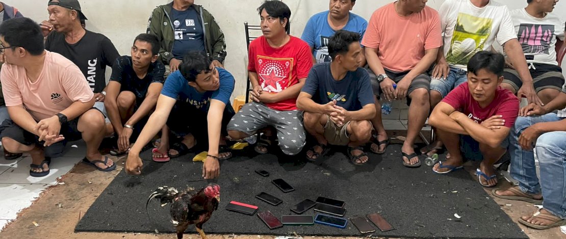 Praktik judi sabung ayam terbongkar. Sebanyak 32 orang pelaku pun ditangkap aparat kepolisian dari Resmob Polda Sulsel.