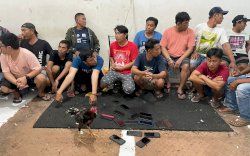 Grebek Judi Sabung Ayam, Pelaku Kocar-kacir Ditinggal Temannya, 32 Orang Ditangkap