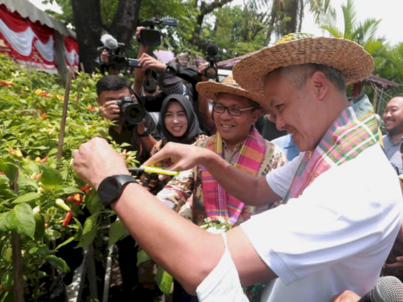 Danny Pomanto Ajak Ganjar Pranowo Panen Cabai dan Ikan Nila di Lorong Wisata
