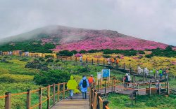 Mengenal Pulau Jeju yang Mirip Bali, Destinasi Kebanggaan di Korea Selatan 