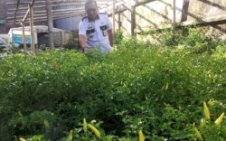 Lorong Produktif di Mallimongan Tua Ternyata Sudah ada Sejak 9 tahun lalu