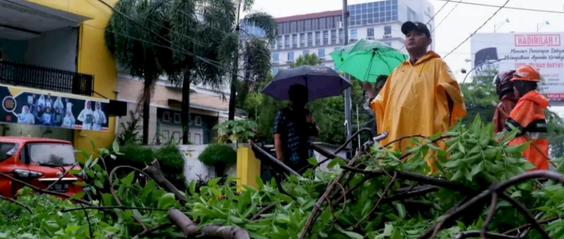 Hujan deras dan angin kencang yang melanda Kota Makassar mengakibatkan sejumlah pohon tumbang.