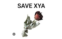 Catatan Redaksi Bukamatanews.id , Korban  Pelecehan Seksual Viral di UNM Butuh Pendampingan Ahli 