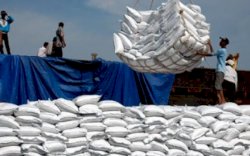 Tok! Beras Impor Sebanyak 500.000 Ton Segera Masuk RI