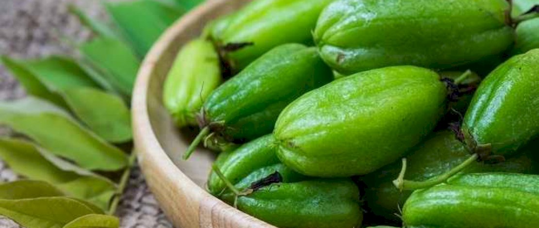 Sering Makan Belimbing Ternyata Mampu Mencegah Sejumlah Penyakit, Lho! 