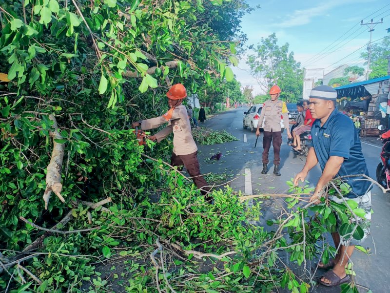 Respon Cepat SAR Yon C Pelopor Evakuasi Pohon Tumbang di Yos Sudarso