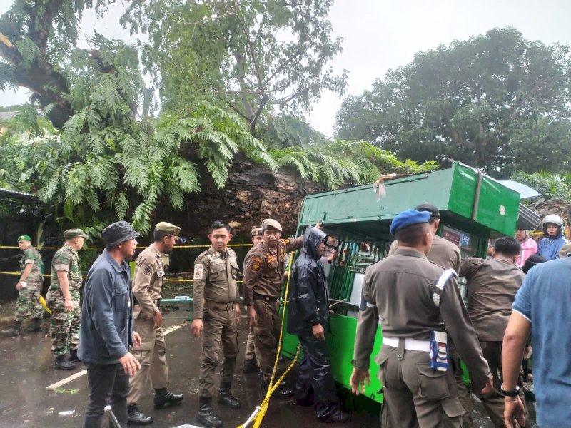 Malang! Sedang Asik Makan Bakso 5 Orang di Makassar Jadi Korban Pohon Tumbang