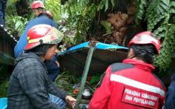 Pemkot Makassar Tanggung Biaya Pengobatan Korban Pohon Tumbang
