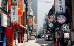 Tips Liburan ke Korea Agar Tidak Menyesal, Salah Satunya Perhatikan Musim!