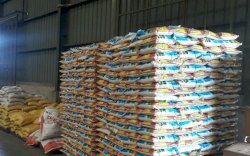 Awas Mafia Pangan, Kondisi Stabil Kok Tiba-tiba Impor Beras