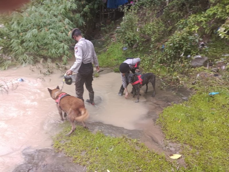 Dua Anjing Pelacak Ikut Bantu Cari Korban Longsor di Cenrana