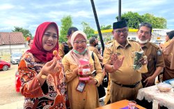 Cegah Stunting, Wabup Soppeng Pamerkan Menu Bergizi Kreasi 31 Kampung KB