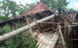 Tertimpa Pohon Tumbang,Kakek di Makassar Masih Sempat Lakukan Ini...