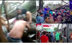 Dua Orang Meninggal di Makassar Akibat Pohon Tumbang