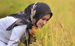 Masyarakat Lutra Puas Dipimpin Indah 