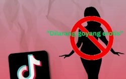 Aturan Baru Tiktok, Ini Empat Aktifitas Berbau Pornografi yang akan Diblokir