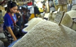 Kementan Mampu Sediakan Stok Nasional, Pakar Pangan Sebut Kondisi Beras Indonesia Dalam Keadaan Baik