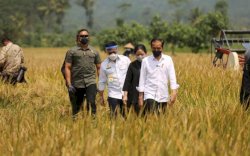 Produksi dan NTP Naik Secara Konsisten, Guru Besar Unhas Nilai Mentan SYL Pamong dan Birokrat Sukses