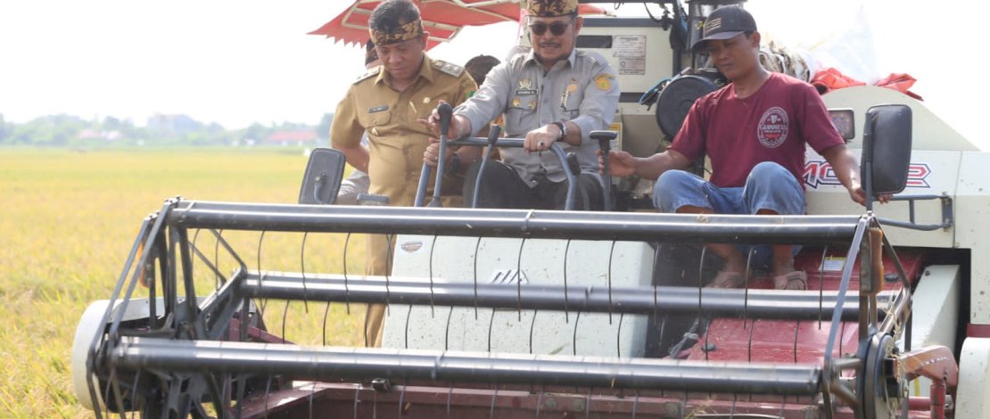 Mentan SYL pada acara panen padi varietas Ciherang dan Inpari seluas 2.000 hektar bersama Wakil Bupati Karawang, Aep Saepulloh, di Desa Ciptamarga, Kecamatan Jayakerta, Karawang, Senin, 9 Januari 2023.